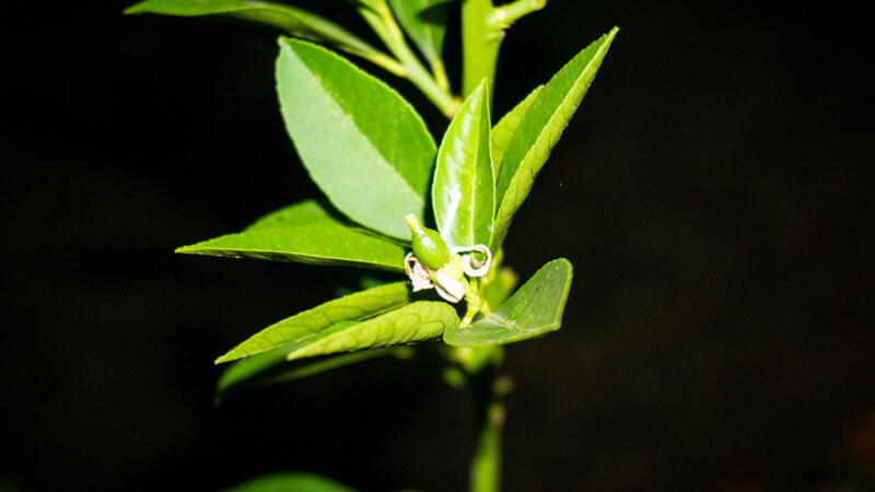 A photo by me on <a href="https://unsplash.com/photos/cE9PvAX9DU0" target="_blank">Unsplash</a>