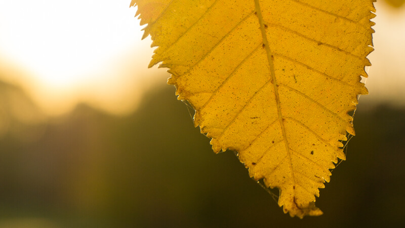 A photo by me on <a href="https://unsplash.com/photos/e2eVlq5QW1c" target="_blank">Unsplash</a>