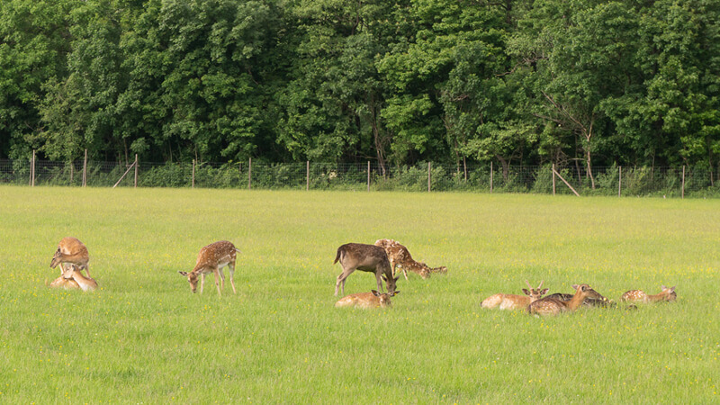 A photo by me on <a href="https://unsplash.com/photos/3GG8WjiPQLk" target="_blank">Unsplash</a>